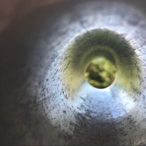 Meet your Posher, Willow